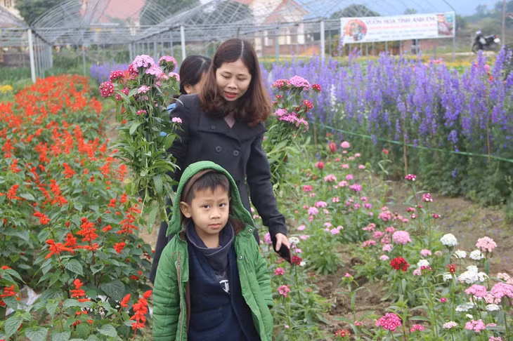 Giá cả khá phải chăng