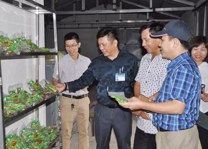 Đoàn khảo sát cơ sở chế biến củ cải tại xã 