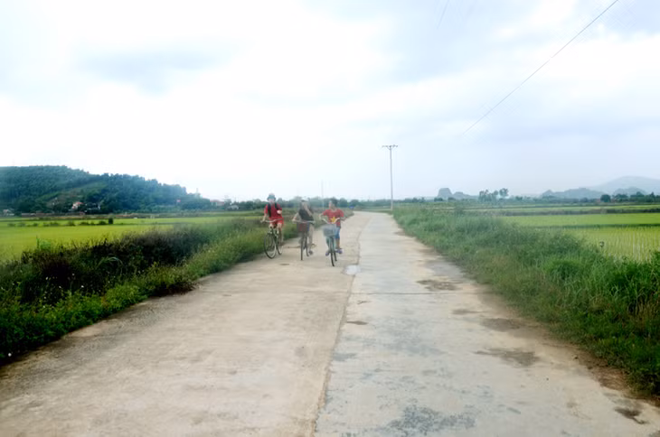 Tuyến đường giao thông vào các vùng cánh đồng mẫu lớn được phường Hưng Đạo mở rộng để tiện cho việc cơ giới hóa, thu mua sản phẩm tận đồng.
