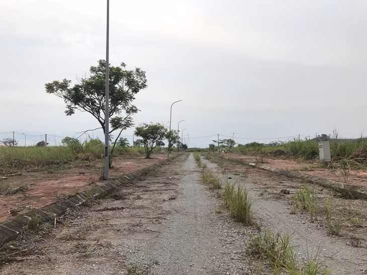 Đường đi chưa được đồng bộ, nhiều chỗ cỏ mọc ngay giữa lòng đường.