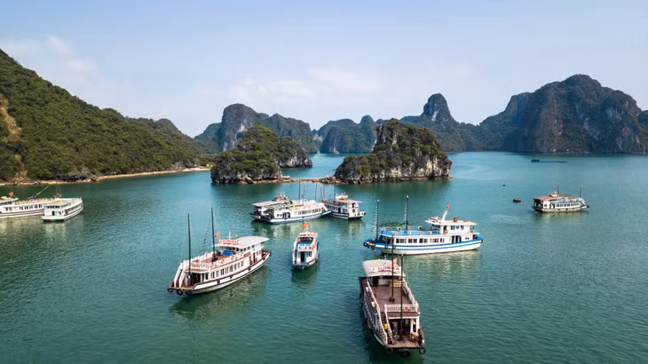 Nhộn nhịp Hạ Long