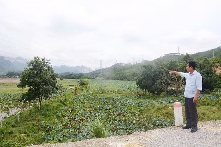 Cánh đồng Ba Sào sau khi được cải tạo, phục hồi.