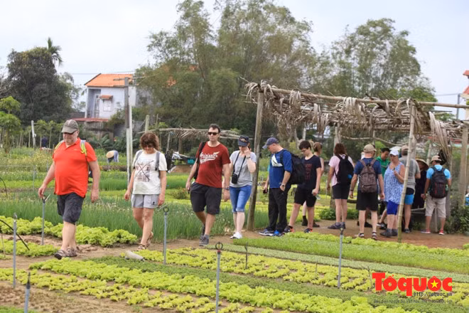 Du khách nước ngoài du lịch Việt Nam. Ảnh minh họa/ Đức Hoàng