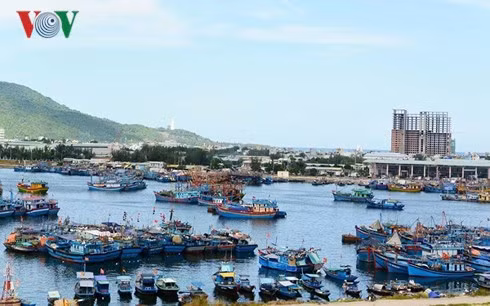 Cảng cá Thợ Quang, Đà Nẵng là nơi neo đậu hàng trăm tàu cá của ngư dân các tỉnh miền Trung.