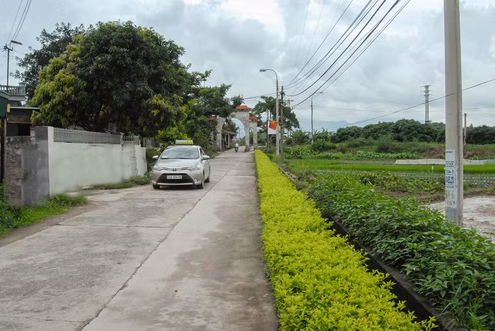 Tuyến đường thôn Bình Lục Hạ (xã Hồng Phong) được sửa sang theo tiêu chí sáng, xanh, sạch, đẹp, sẵn sàng cho lộ trình lên phường của xã.