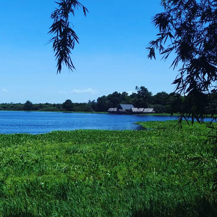 Khung cảnh thiên nhiên tuyệt đẹp ở Trằm Trà Lộc. Ảnh: nhnphu
