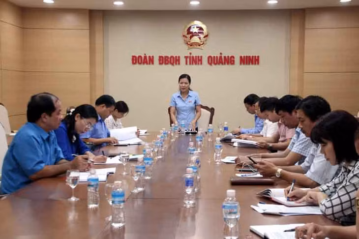 Đồng chí Đỗ Thị Lan, Uỷ viên Ban Thường vụ Tỉnh uỷ, Trưởng Đoàn Đại biểu Quốc hội tỉnh phát biểu kết luận hội nghị