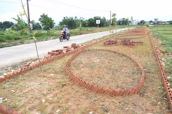 Vườn hoa thôn Tân Mai, xã Tân lập, huyện Đầm Hà được hình thành ở nơi trước đây là bãi rác