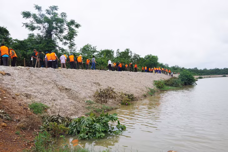 Quang cảnh gia cố đê