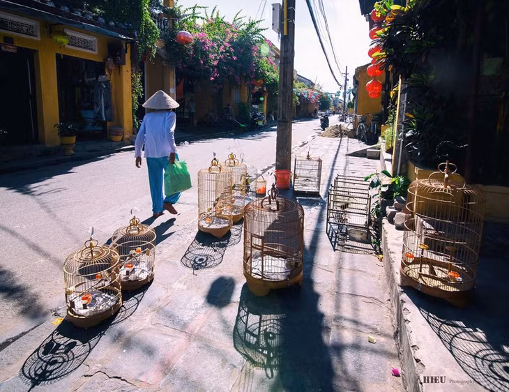 Là điểm du lịch nổi tiếng, nhưng đến Hội An bạn không khó để tìm được cho mình một góc nhỏ bình yên.