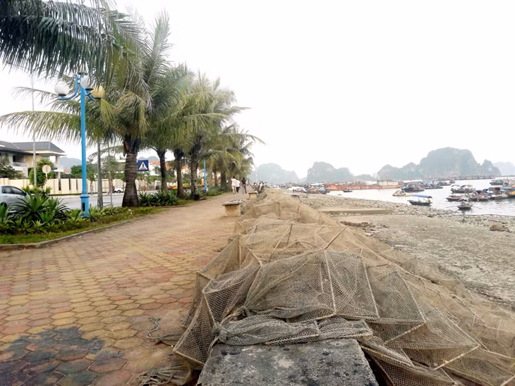 Những chiếc lồng để bắt thuỷ sản phơi trên vỉa hè ở ven đường, bốc mùi hôi nồng nặc, nhất là vào những hôm trời oi bức.