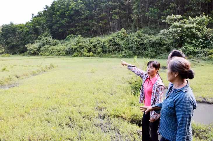 Người dân thôn Đồng Mơ (xã Vũ Oai, huyện Hoành Bồ) phản ánh tình trạng đất nông nghiệp bỏ hoang do đất đá sạt xuống từ dự án Công viên nghĩa trang An Lạc.