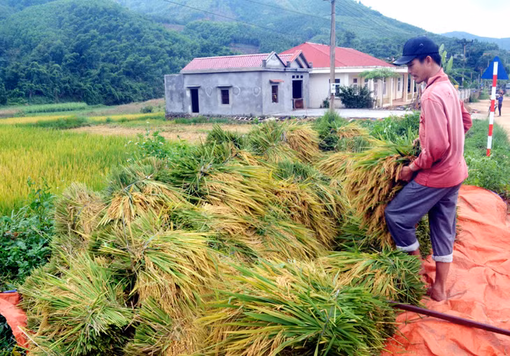 Người vui nhất thôn Làng Cổng là anh Đặng Tằng Pẩu vì vừa có nhà mới, mùa màng lại bội thu.