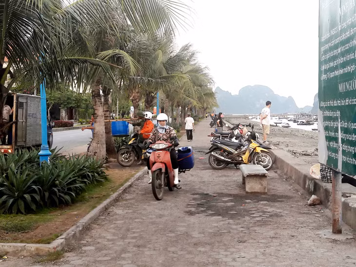 Các điểm thu mua hải sản tự phát hoạt động thường xuyên.