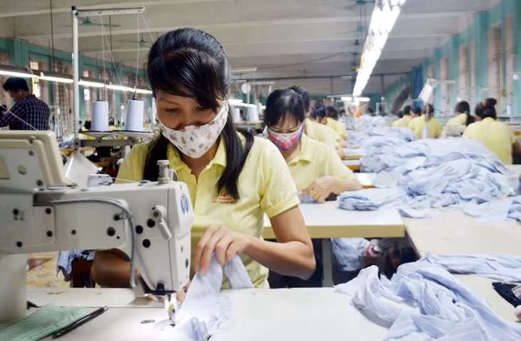 Công nhân làm việc tại Chuyền may 1, thuộc Phân Xưởng may, Công ty CP May Quảng Ninh (phương Hồng Hải, TP Hạ Long)
