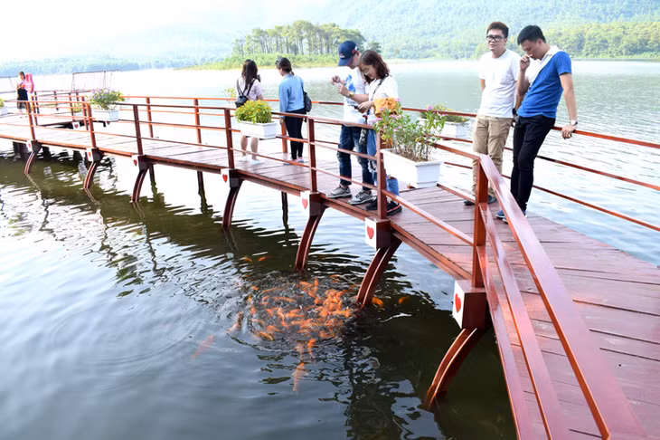 Nhiều du khách rất thích việc cho cá ăn ở hồ Yên Trung