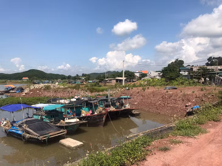 Theo các ngư dân, mỗi khi có mưa bão khu bến tàu Phúc Tiến thường xuyên có hơn 200 tàu, thuyền neo đậu. 