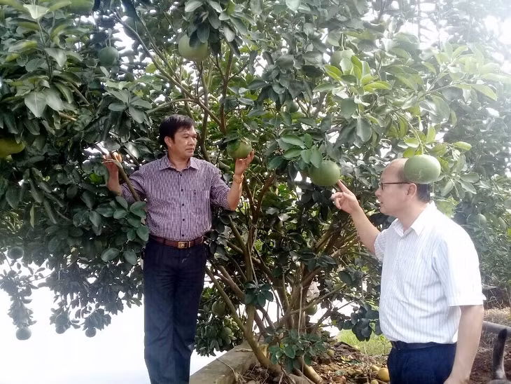Các em học sinh Trường THCS Thị trấn Quảng Hà hào hứng tham quan khu vườn kiểu mẫu của gia đình ông Nguyễn Văn Hữu (thôn 2, xã Quảng Minh, huyện Hải Hà).