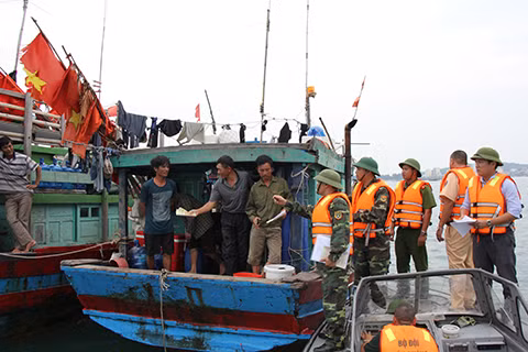 Các lực lượng tiến hành vận động, ký cam kết và phát tờ rơi thông tin đường dây nóng cho các chủ phương tiện chủ động di chuyển về nơi tránh trú an toàn.