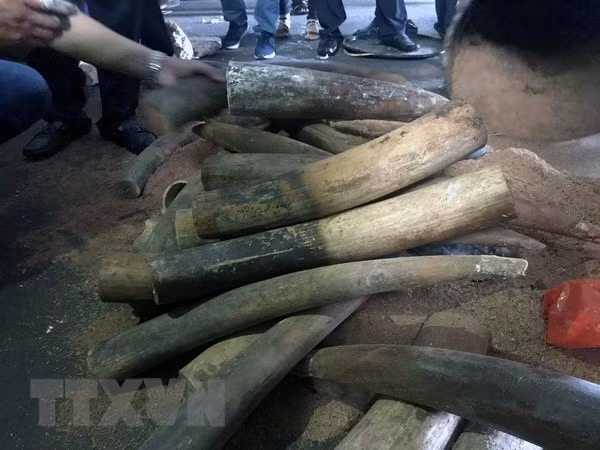 Ảnh chỉ có tính minh họa. (Ảnh: Hoàng Hải/TTXVN)