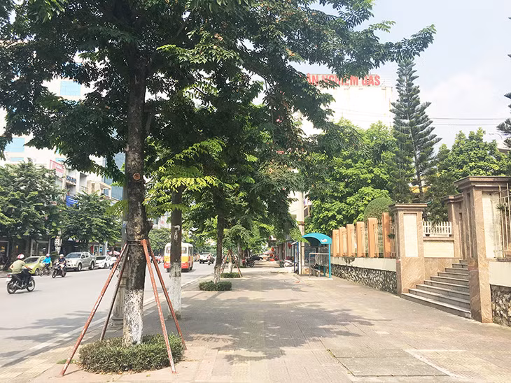 Diện mạo mới của tuyến đường Trần Phú đoạn đi qua phường Cẩm Trung 