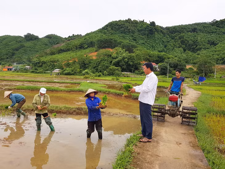 Bí thư Chi bộ