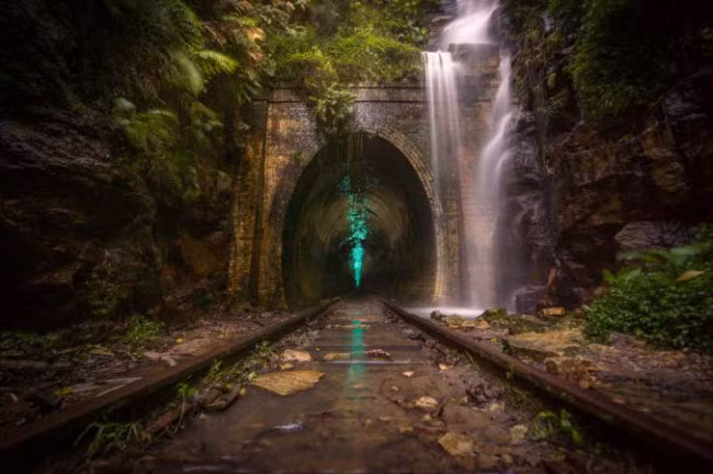 Khung cảnh đẹp ma mị tại cửa hầm đường sắt bỏ hoang ở Helensburgh, New South Wales, Australia.