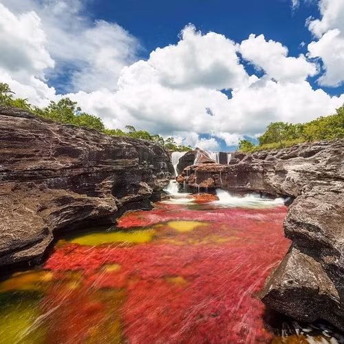 Con sông Cano Cristales đầy màu sắc ở Colombia 