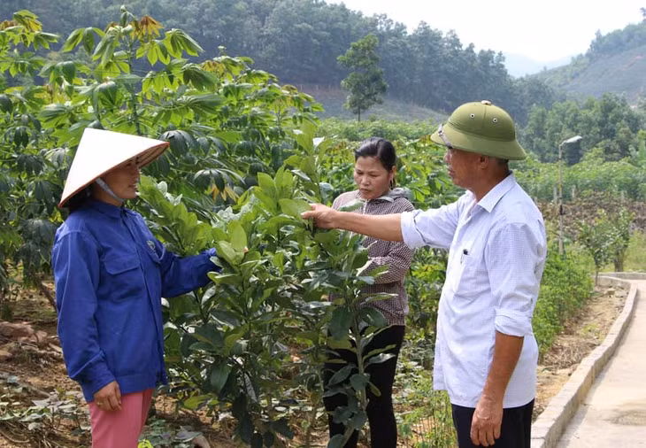 Đồng chí 
