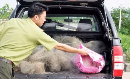 Kiểm lâm TX Quảng Yên thu giữ lượt bẫy, bắt chim