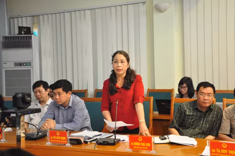 Đồng chí Vũ Thị Liên Oanh, Giám đốc Sở Giáo dục- Đào tạo trình bày tình hình triển khai Kế hoạch thu hút nguồn nhân lực chất lượng cao
