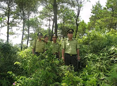 Ảnh minh hoạ