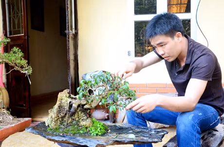 Chỉ với những nguyên liệu sẵn có ở vùng than, anh Toàn đã tạo được một tác phẩm bon sai độc đáo.