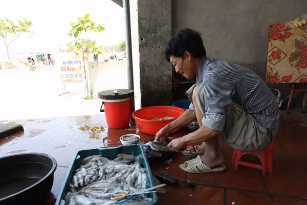 bạn rửa sạch ngoài mặt của mực, dùng kéo cắt dọc mực từ đuôi lên, chỉ cắt qua một lớp thành mực, banh rộng mực ra và lấy bỏ hết phần nội tạng phía trong. Đặc biệt, bạn cần cẩn trọng khi lấy bỏ “túi mực”, tránh làm vỡ gây đen và hôi con mực. Bạn gỡ cả phần mai mực nhỏ dọc sống mực.