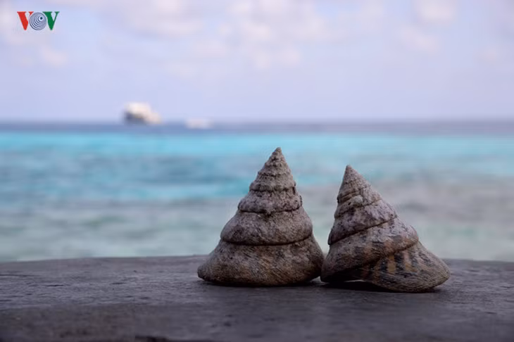 "Tự tình"