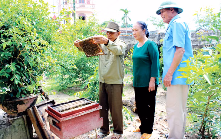 Ông Nguyễn Văn Tá (thứ nhất từ trái sang), 75 tuổi, thương binh 3/4 ở thôn 2, xã Hoàng Tân, TX Quảng Yên từ hai bàn tay trắng nay đã trở thành tấm gương làm kinh tế giỏi nhờ nuôi ong.