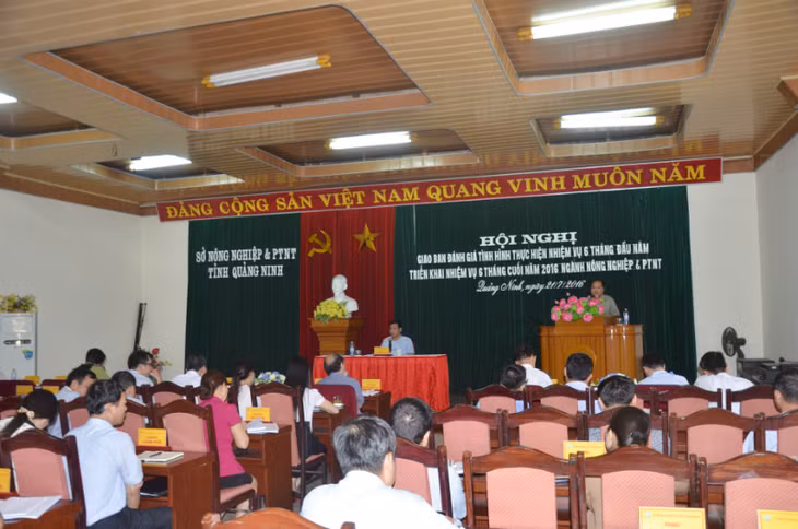 Quang cảnh hội nghị