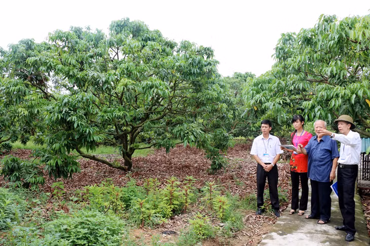 Tổ giúp việc Ban Chỉ đạo tổng điều tra tỉnh cùng với điều tra viên xã Bình Khê đang đi điều tra tại hộ ông Đào Văn Xướng (thôn Trại Mới B, xã Bình Khê, TX Đông Triều).