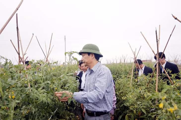 Bí thư Tỉnh ủy Nguyễn Văn Đọc thăm mô hình sản xuất nông nghiệp chất lượng cao của Tập đoàn Vingroup tại TX Đông Triều.