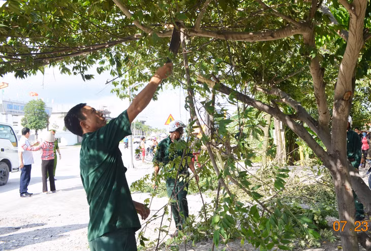 Phường Phương Nam kết hợp chặt tỉa cành cây ven đường gây cản trở giao thông