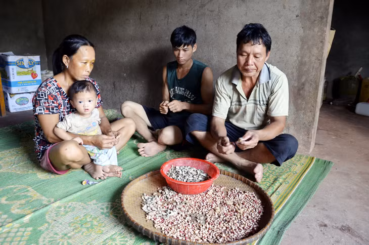 Dù có sức lao động nhưng gia đình anh Trần Xuân Tiếp cũng không có cách gì để thoát nghèo.