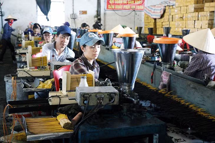 Sản xuất hương xuất khẩu tại HTX Sản xuất và Dịch vụ công nghiệp Phú Hải (phường Mạo Khê, TX Đông Triều).