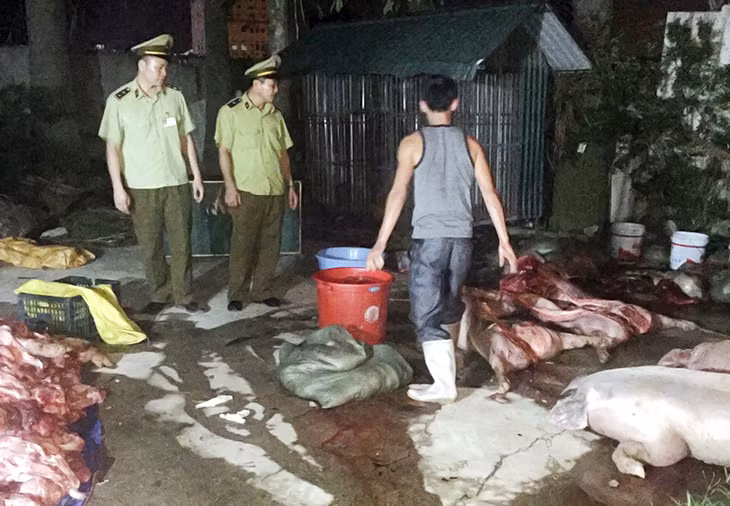 Đoàn liên ngành TP Móng Cái kiểm tra, phát hiện cơ sở giết mổ lợn chết không rõ nguồn gốc tại khu 4, phường Hải Hoà ngày 27-4-2016.