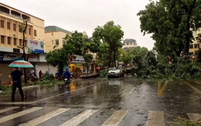 Cây đổ chắn ngang đường gây cản trở giao thông trên phố Hai Bà Trưng, Hoàn Kiếm, Hà Nội. (Ảnh: Sơn Bách/Vietnam+)