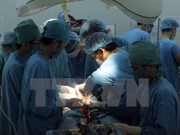 Ảnh chỉ có tính minh họa. (Ảnh: Duy Khương/TTXVN)