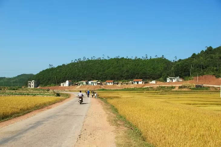 Một góc Bình Liêu. (Ảnh minh hoạ)