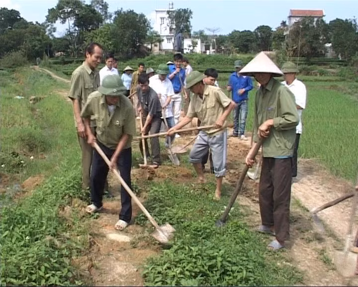 Hội CCB Hải Hà tích cực tham gia xây dựng NTM.