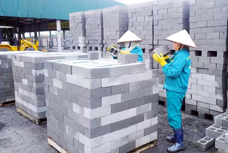 Sản phẩm gạch không nung của Công ty CP Dịch vụ môi trường Đông Khê.