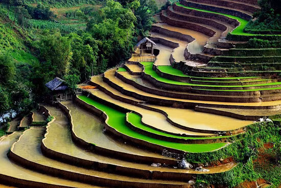 Ruộng bậc thang- một trong những địa điểm được nhiều du khách yêu thích.
