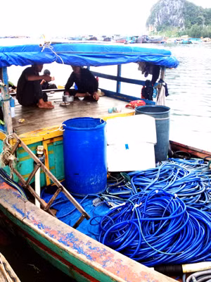 Công an Vân Đồn phát hiện bắt giữ tàu khai thác thuỷ sản trái phép.